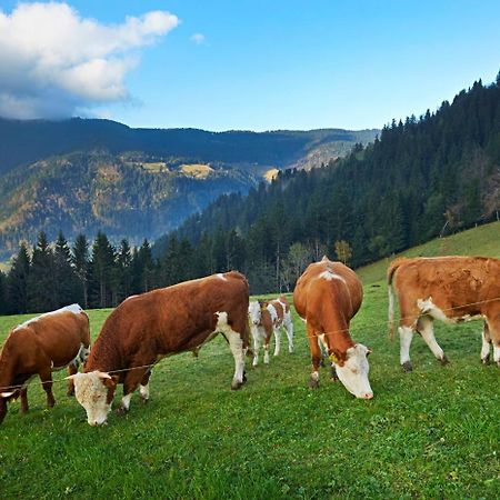 Tourist Farm Kladje Villa Ljubno Exteriör bild