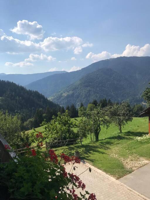 Tourist Farm Kladje Villa Ljubno Exteriör bild