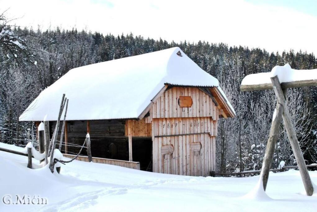 Tourist Farm Kladje Villa Ljubno Exteriör bild