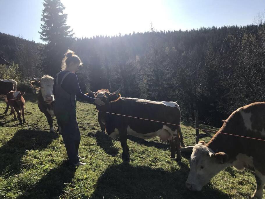 Tourist Farm Kladje Villa Ljubno Exteriör bild