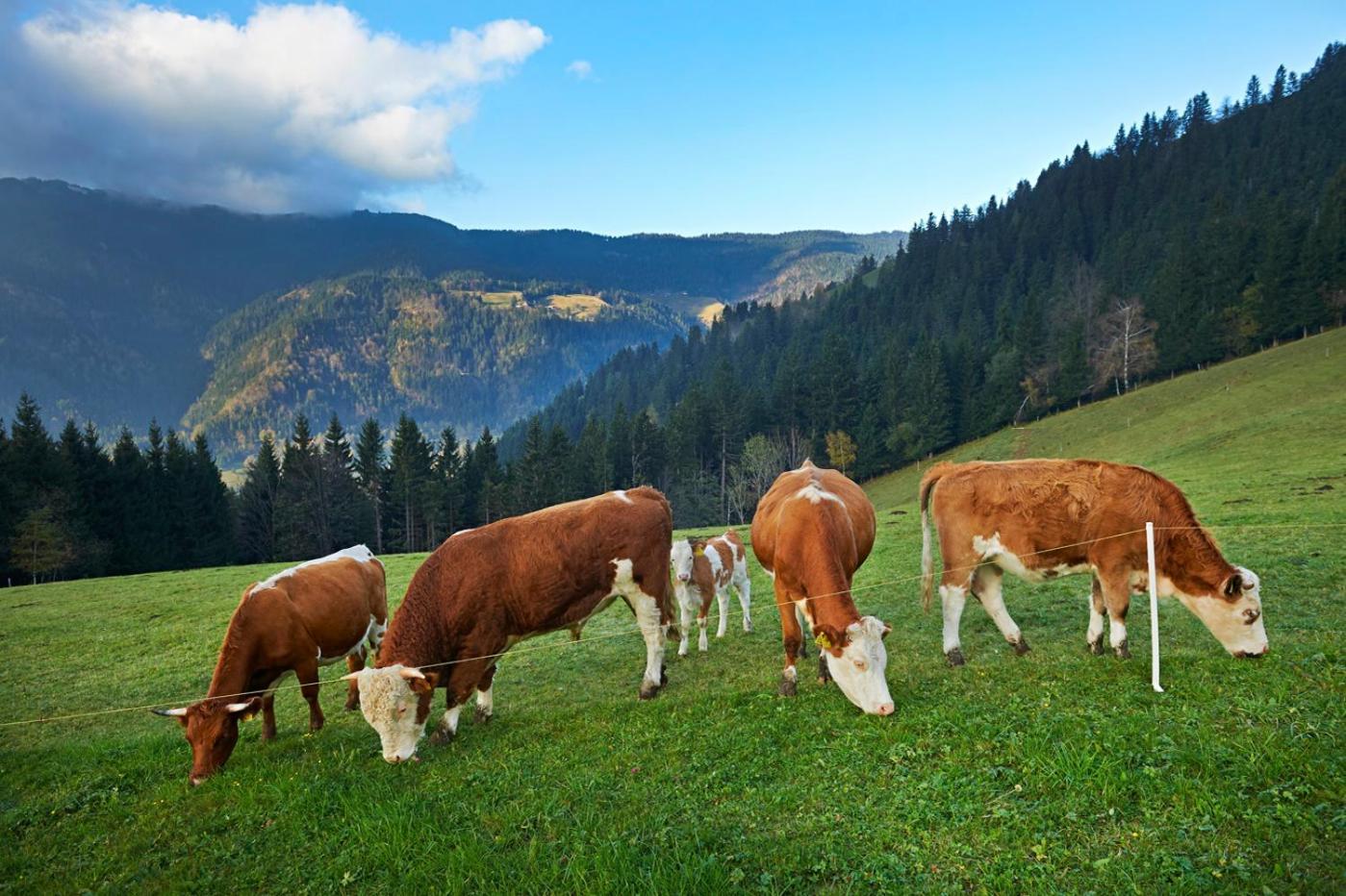Tourist Farm Kladje Villa Ljubno Exteriör bild