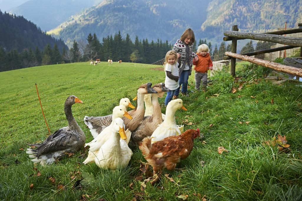 Tourist Farm Kladje Villa Ljubno Exteriör bild